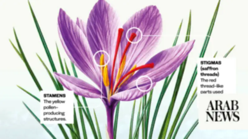 Saudi Arabia Expands Saffron Cultivation with Biotech and ISO Certification