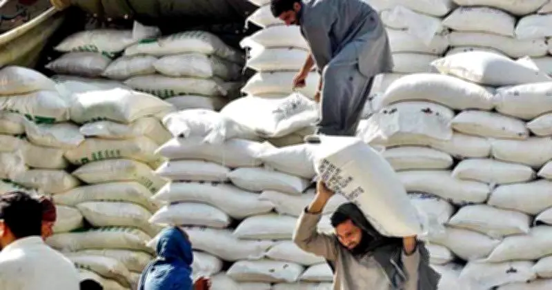 Sindh CM Murad Ali Shah Orders Crackdown on Flour Price Hikes