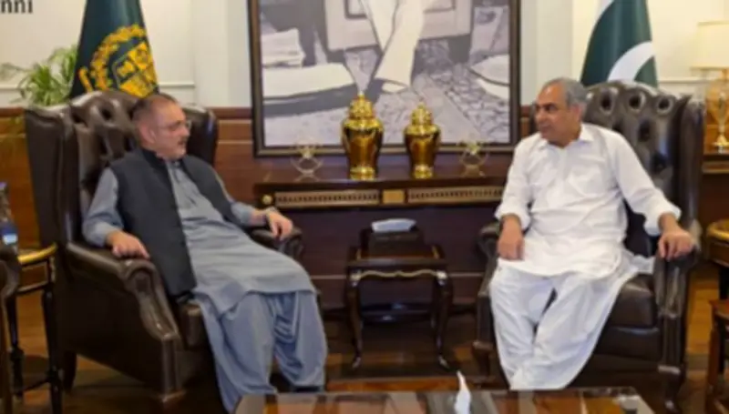 Sindh Minister, Federal Interior Minister Discuss Law and Order Cooperation