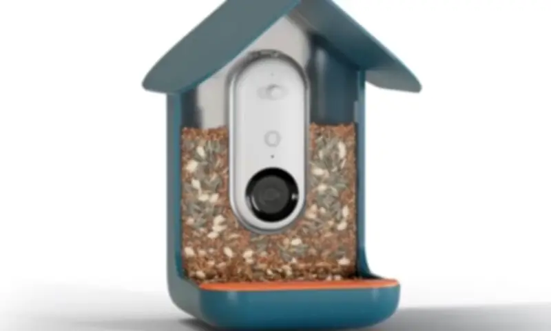 Solar-Powered Birdbuddy Pro Hits Lowest Price at $168 for Amazon Prime Day