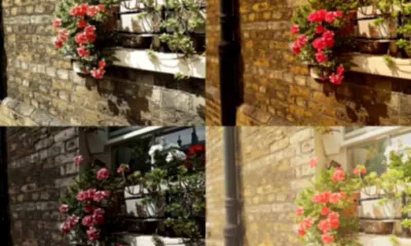 Sony's AI Camera Assistant on Xperia 1 VIII: Disappointing Performance