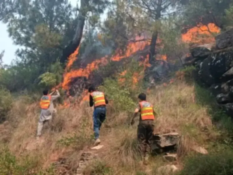 SUPARCO Report Reveals Massive Forest Fire Damage in Kotli Sattian