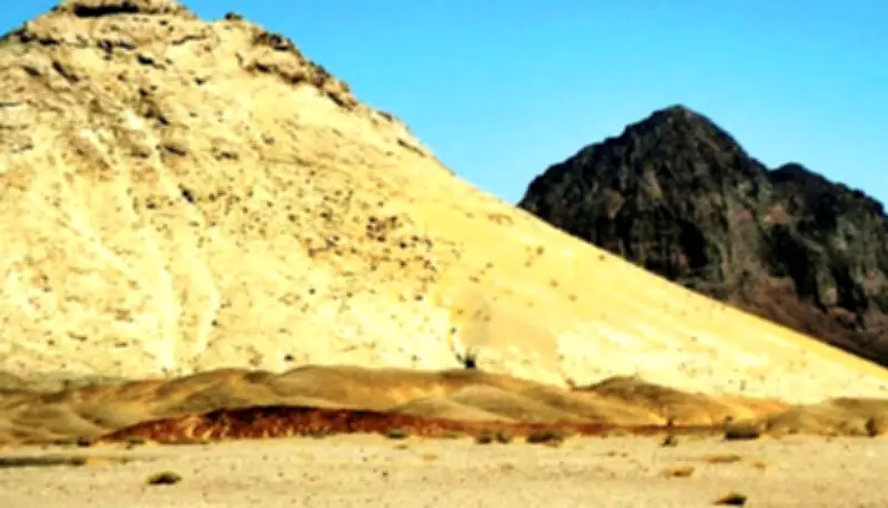 The Soil: Our Next Economic Frontier