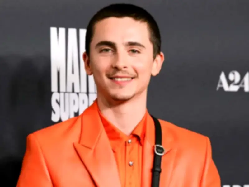 Timothée Chalamet Sparks Illumination Animated Film Rumors