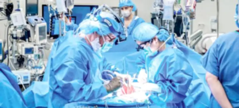 World's First Combined Pig Liver and Kidney Transplant Performed in China