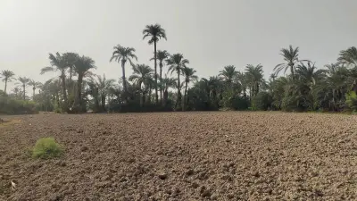 Climate Shocks Cost Pakistan $59B: Need for Crop Insurance