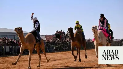 High-Strung Camels Race in Australian Outback at Marree Camel Cup
