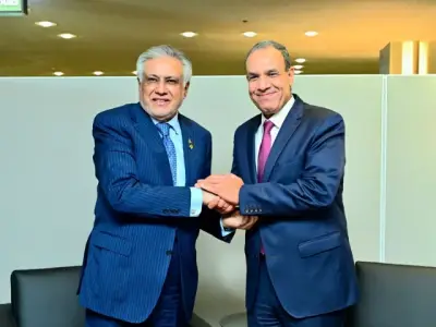 Pakistan, Egypt Discuss Regional Stability in High-Level Talks