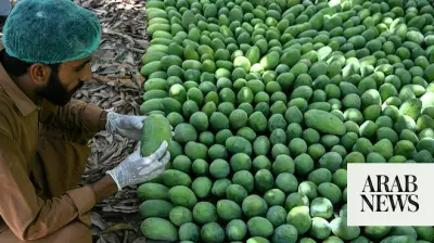 Pakistan Mango Export Earnings May Drop 30% Due to Climate and Gulf Conflict