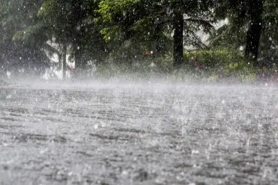 Rain and Strong Winds Lash Lahore, Bringing Relief and Disruptions