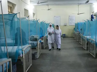 Two Dengue Cases Reported in Rawalpindi as Anti-Dengue Campaign Begins