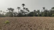 Climate Shocks Cost Pakistan $59B: Need for Crop Insurance