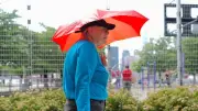 Europe Imposes Emergency Measures as Record Heat Wave Sweeps Continent