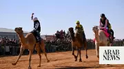 High-Strung Camels Race in Australian Outback at Marree Camel Cup