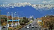 Islamabad Stray Dogs, Urban Planning, and Pedestrian Safety Crisis