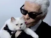 Karl Lagerfeld's cat Choupette reportedly broke amid inheritance dispute