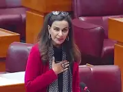 PPP Vows to Block IT Legislation Without Senate Scrutiny