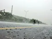 Pre-Monsoon Rains Lash Punjab, KP; Tree Fall Injures Vendor in Abbottabad
