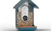 Solar-Powered Birdbuddy Pro Hits Lowest Price at $168 for Amazon Prime Day