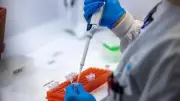 Sri Lanka Dengue Epidemic Surpasses 50,000 Cases, 29 Deaths Reported