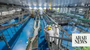 Three Saudi Industrial Firms Plan IPOs on Stock Market