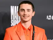 Timothée Chalamet Sparks Illumination Animated Film Rumors