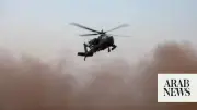 US Airstrike Kills Senior Daesh Group Leader in Syria