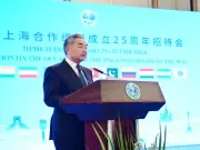 Wang Yi meets Iranian official on BRICS sidelines, discusses peace deal