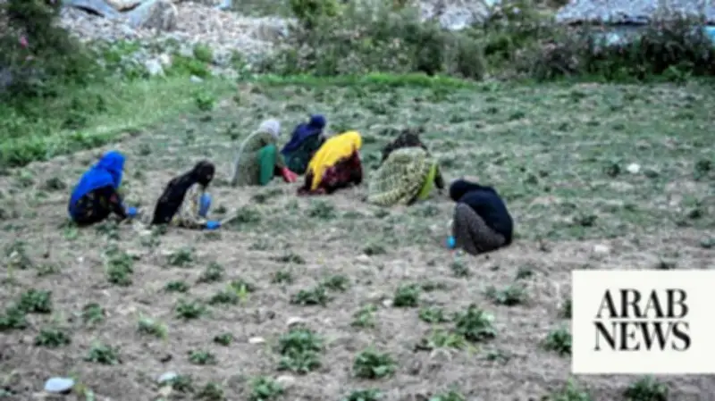 Afghan Women Farmers Sustain Village Life in Remote Nuristan Province