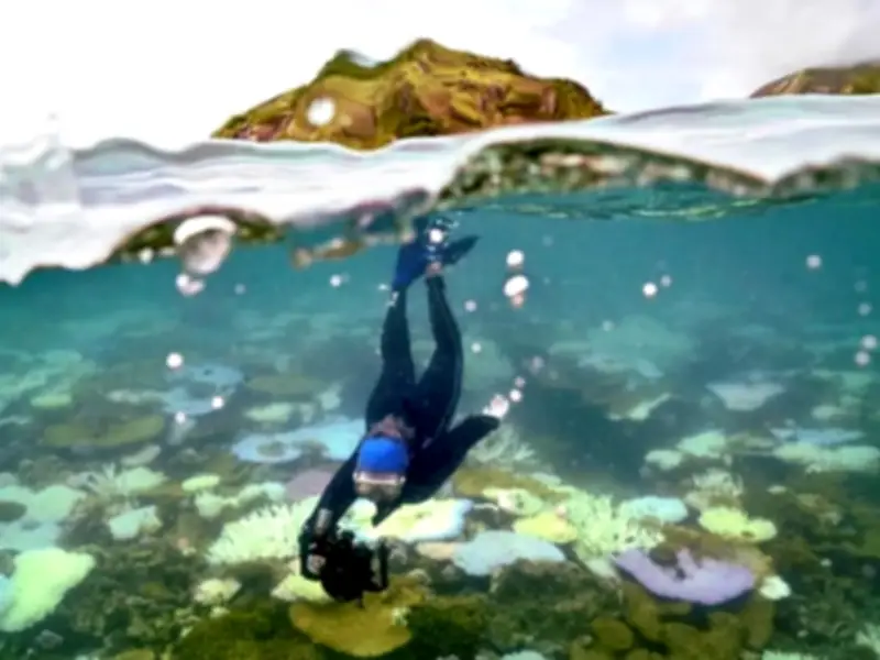 Australia Welcomes UNESCO Decision Not to List Great Barrier Reef as Endangered