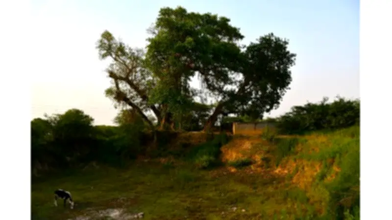Banda Village: Pre-Partition Heritage, Colonial Schools, and Lost Mansions in Rawalpindi