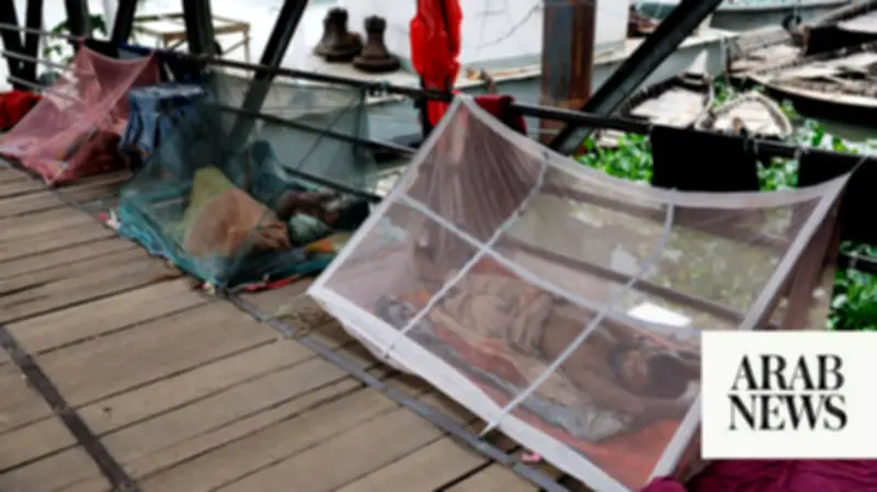 Bangladesh Warns of Sharp Dengue Surge as Weather Aids Spread