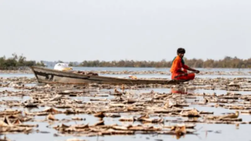 El Nino Threatens Pakistan with Severe Drought and Flash Floods