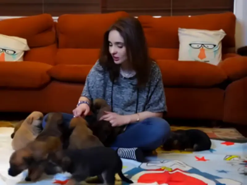 Juggun Kazim Urges Animal Care Amid Heatwave on Instagram