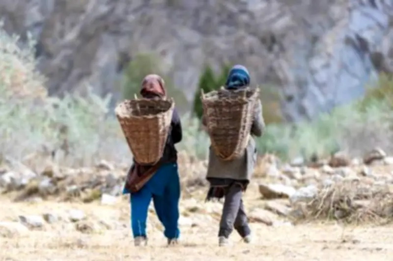 Maryam Nawaz Stresses Rural Economy Development on World Rural Day