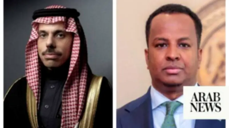 Saudi, Somali FMs affirm Somalia's sovereignty over entire territory