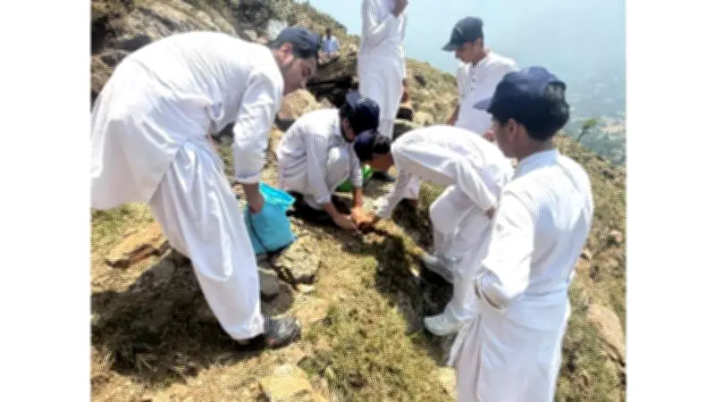Swat Seed Ball Campaign Transforms Monsoon Floods into Reforestation Opportunity