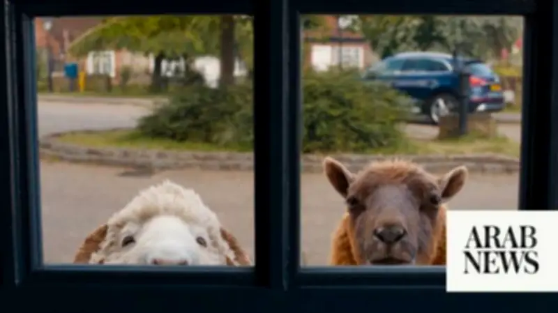 The Sheep Detectives: A Delightfully Cozy Crime Caper for All Ages