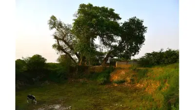 Banda Village: Pre-Partition Heritage, Colonial Schools, and Lost Mansions in Rawalpindi