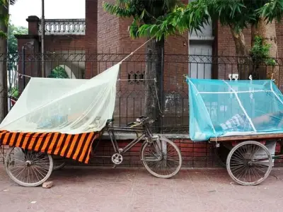 Bangladesh Dengue Cases Expected to Double in July, Experts Warn