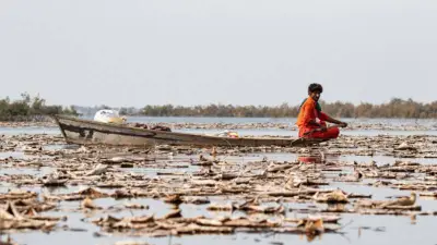 El Nino Threatens Pakistan with Severe Drought and Flash Floods
