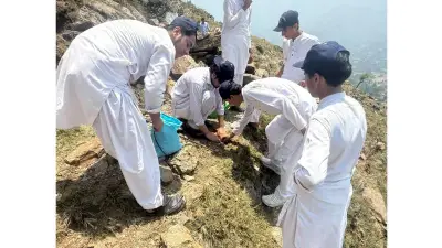 Swat Seed Ball Campaign Transforms Monsoon Floods into Reforestation Opportunity