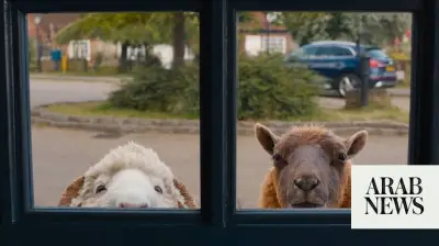 The Sheep Detectives: A Delightfully Cozy Crime Caper for All Ages
