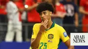 Ibrahimovic Comforts Australian Teen After World Cup Penalty Miss