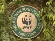Karachi Water Crisis: Experts Warn of Environmental Catastrophe