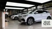 Pakistan Targets 3,000 EV Charging Stations by 2030, Senate Panel Warns of Inadequacy
